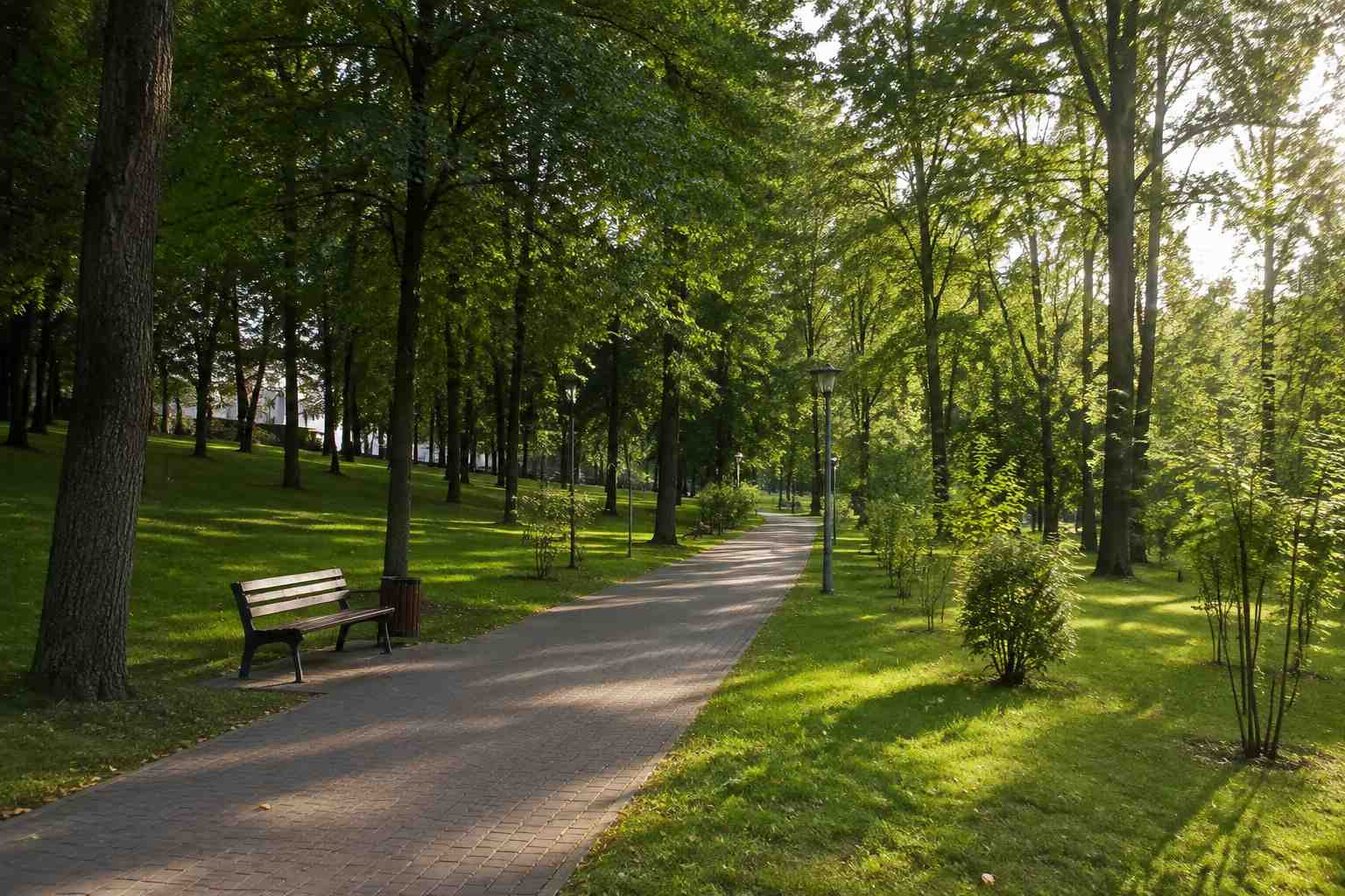 https://obninsk.blago-s.ru/storage/app/uploads/public/6a7/eef/ed2/6a7eefed2af22038960370.jpg